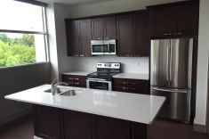 Large Islands with Quartz Countertops for Entertaining